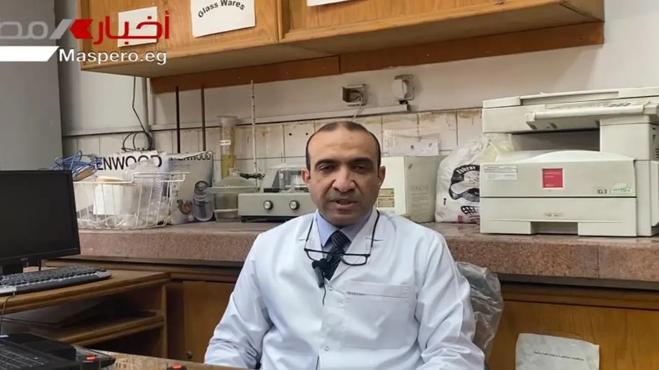 زراعة المورينجا في مصر: هل تصبح ذهب الصحراء الأخضر لتحقيق الاكتفاء الذاتي؟